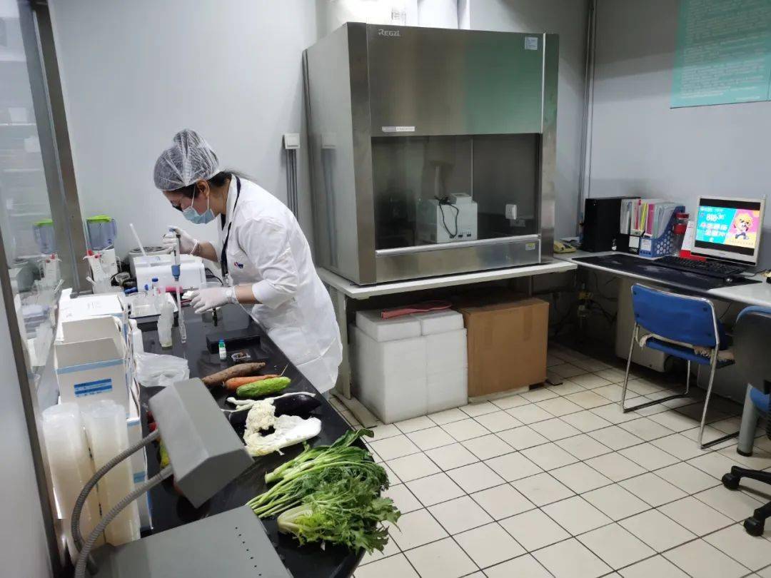 毛感乡食品检测实验室装修方案
